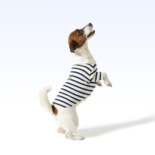 UCNY_PARISIAN PUP SHIRT