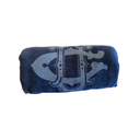 UCNY Beach Towel