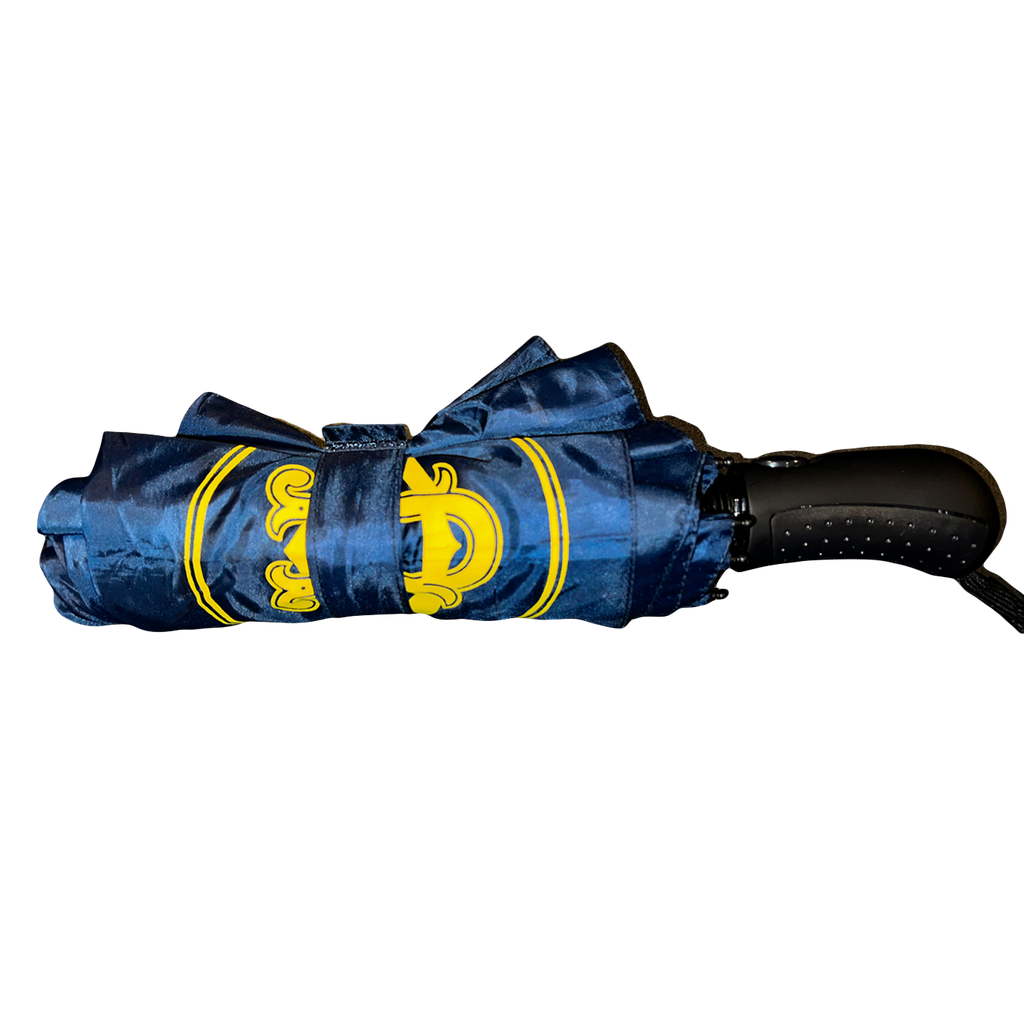 Mini Umbrella